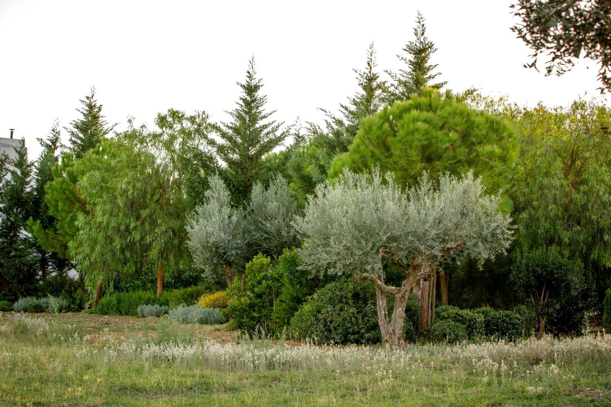 Villa Monte Da Hortinha Estremoz Esterno foto