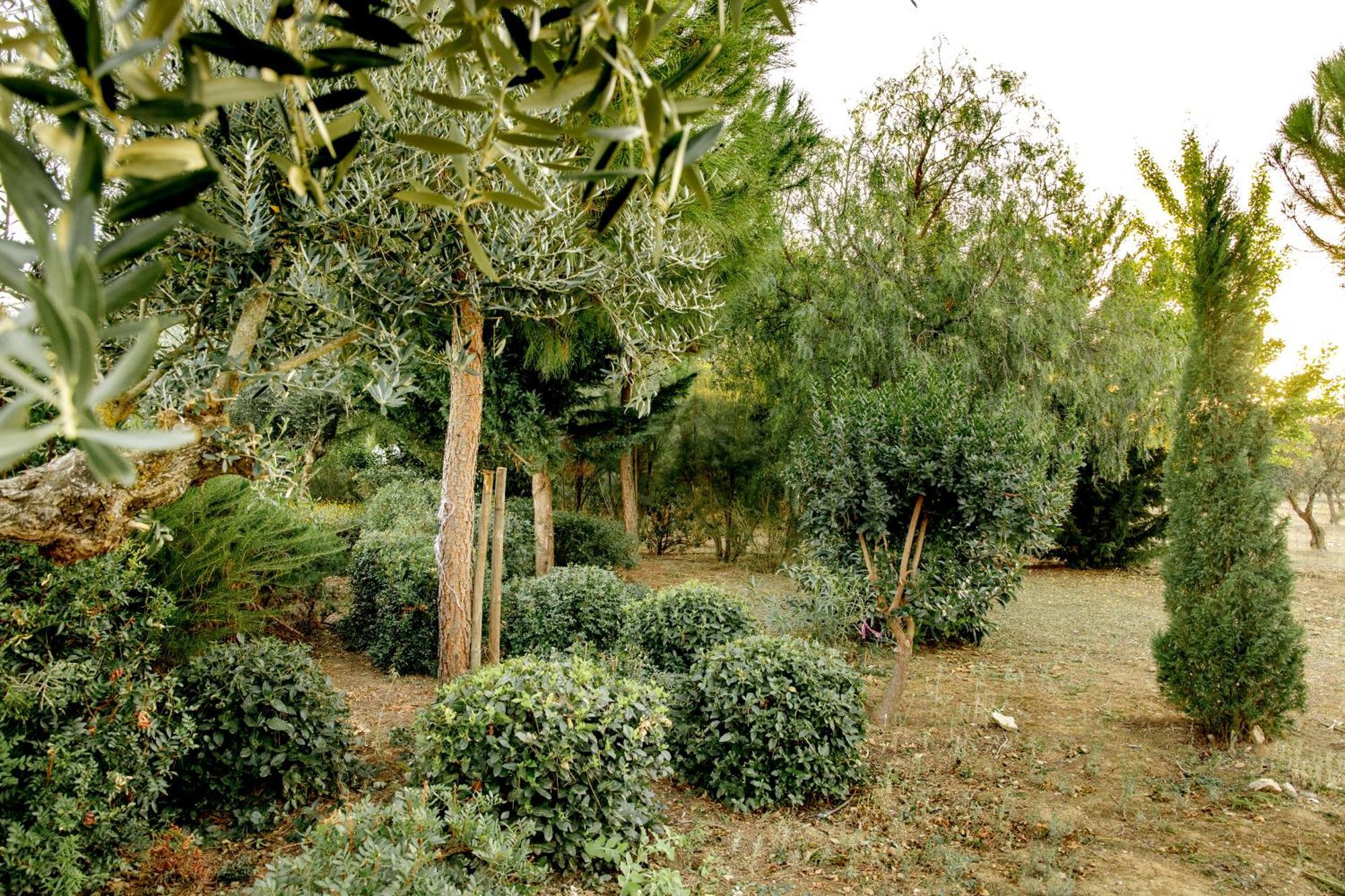Villa Monte Da Hortinha Estremoz Esterno foto